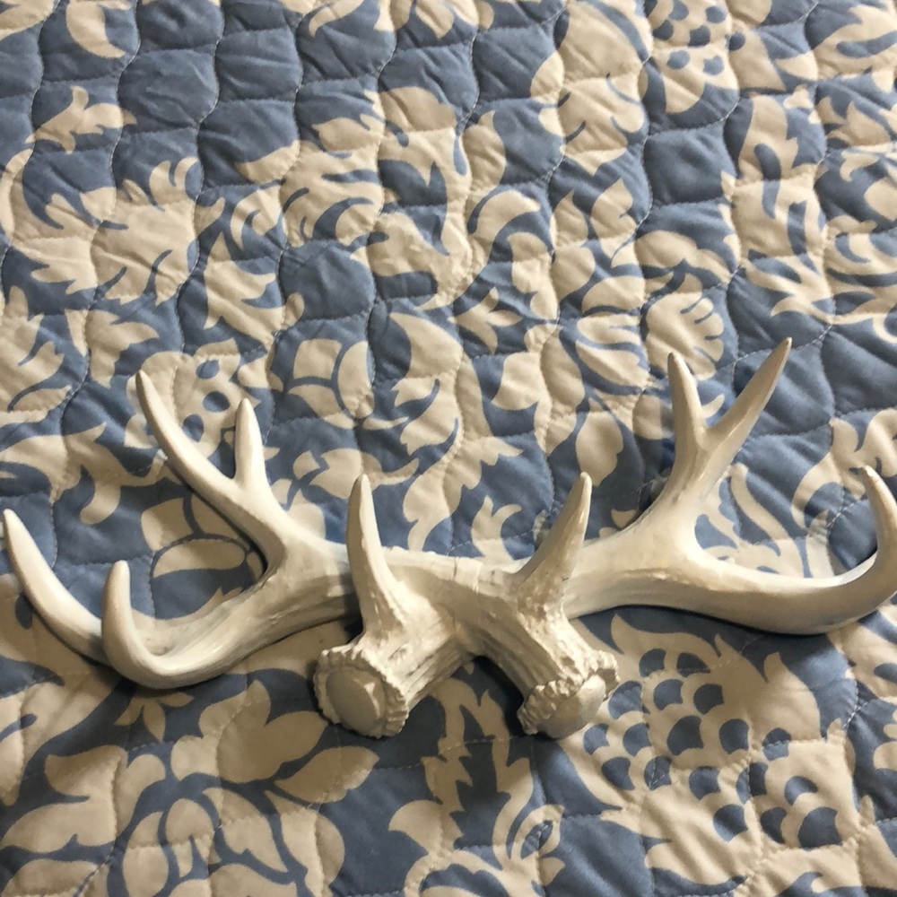 Antlers used in a boy’s deer themed room.